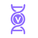 DNA Evolution